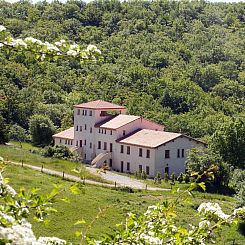 Vakantiehuis Sehr großes Ferienhaus inmitten der Natur