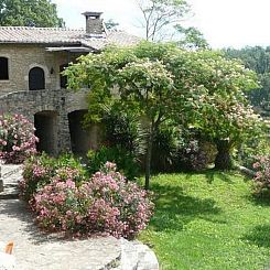Vakantiehuis petit mas de camp
