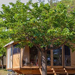 Tiny House Galli