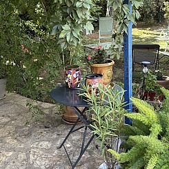 Chez Régine