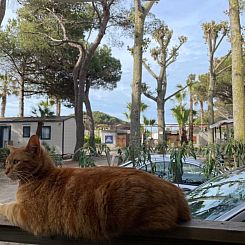 Appartement Mobilheim in idealer Lage in der Nähe aller Ann