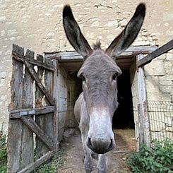 Vakantiehuisje in CIZAY LA MADELEINE