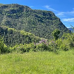 Huisje in Valdeblore