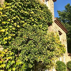 Vakantiehuis Bergerie de Peymeyan