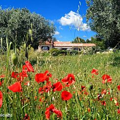 Residence "Villa Catherine" Flayosc
