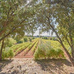Vrijstaande woning in Cotignac