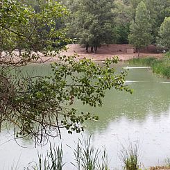 Op palen Lodge «Confort»