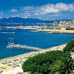 Appartement Croisette Martinez 1 bedroom 241