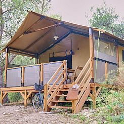 Premium Lodge