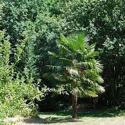Gite Font Cuberte