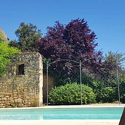 Les Palmiers
