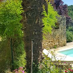 Les Palmiers