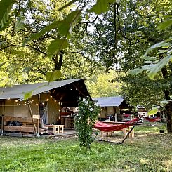 Safaritent met badkamer