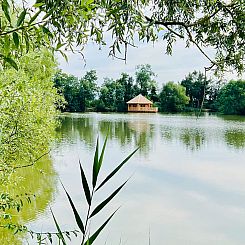 cabine Ruche