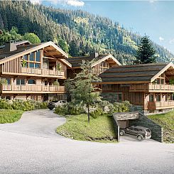 Chalet in Chatel