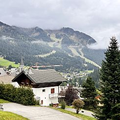 Chalet in Chatel