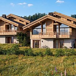 Chalet in Chatel