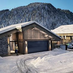 Chalet in Chatel