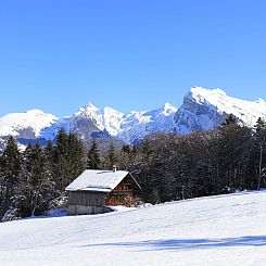 Appartement Grande Neige