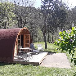 Pod