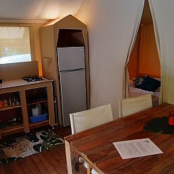 Jungle Lodge