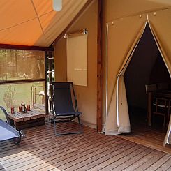 Jungle Lodge
