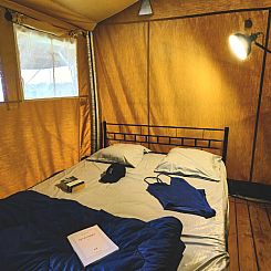 Lodge COSY