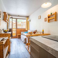 Appartement vanoise 578