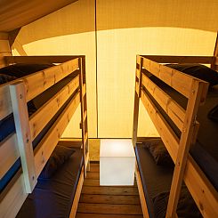 Safaritent standaard Maaszicht