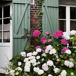 Vakantiehuis in Vascoeuil