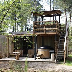 Treetrunk met hottub