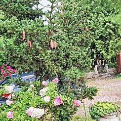 Vakantiehuis mit großem Garten in La Prée
