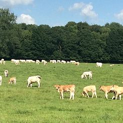 Vakantiehuis in Walincourt