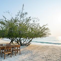 Paradee Resort