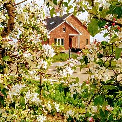 Vakantiehuis in Gingelom