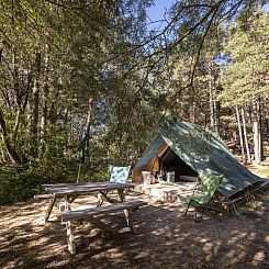 Bonaventure