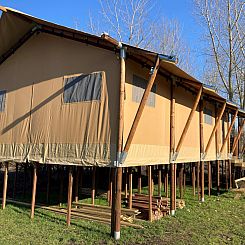 Safari Tent XXL + jacuzzi