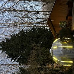 Woody Safari Tent + jacuzzi