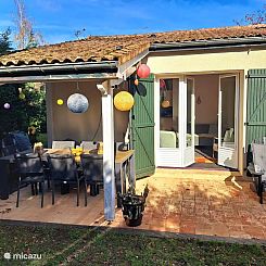 Le Chat 217 Le Camelot