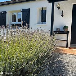 Village le Chat Magnolia 172 (AIRCO)