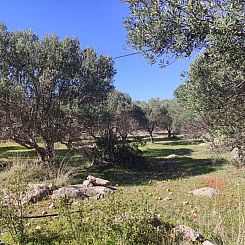 Kavel in Agios Nikolaos, Vathi
