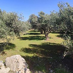 Kavel in Agios Nikolaos, Vathi