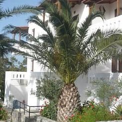 Appartement Apartment Villa Michalis in Agios Nikolaos
