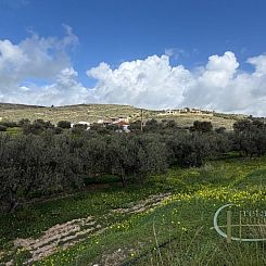 Kavel in Kalamaki