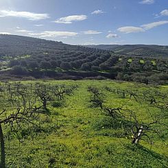 Kavel in Gouves