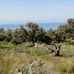 Kavel in Agia Paraskevi