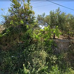 Kavel in Arkadi