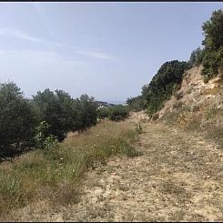 Kavel in Arkadi
