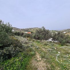 Kavel in Pitsidia
