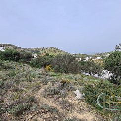 Kavel in Pitsidia